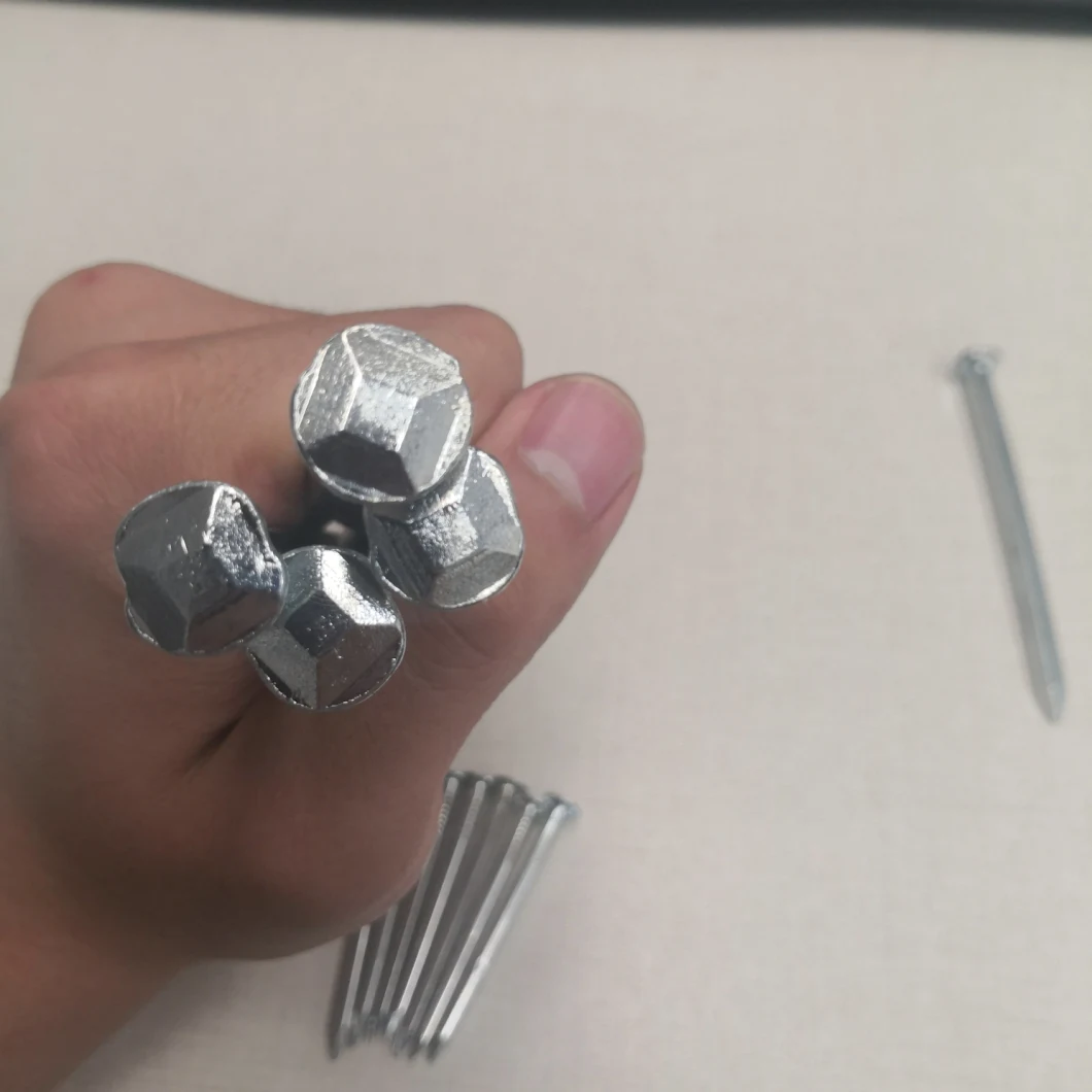 10mm-160mm Mechanical Galvanized Square Nail for Boat