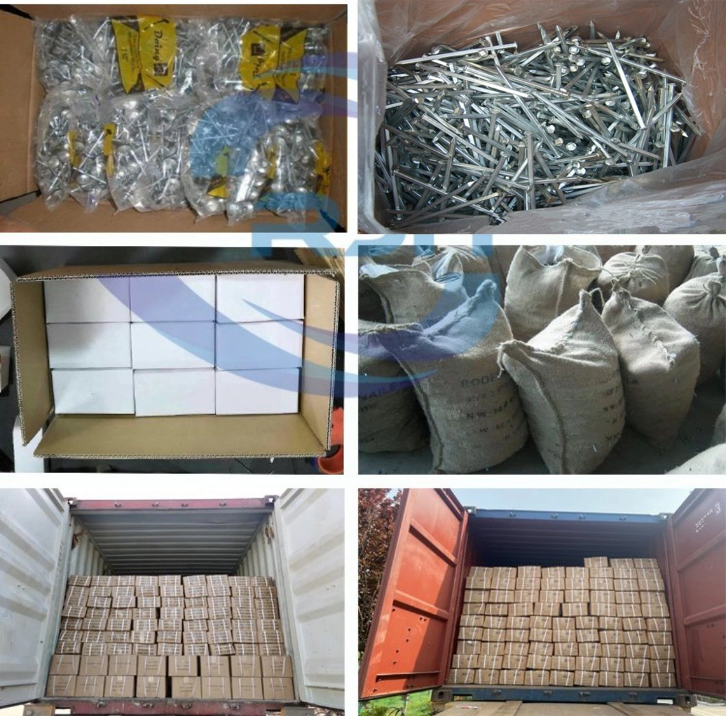 Reasonable Price Iron Nail Common Nail Hot Dipped Galvanized Square Boat Nail with High Quality