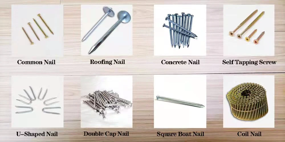 Galvanized/Q195 Material /Polished Surface /Square Rod/ Double Head Nail