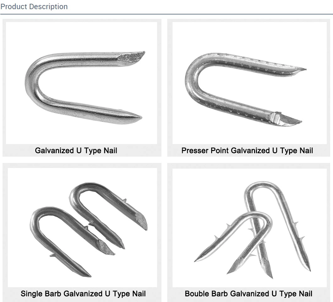 Electro Galvanized Hot Dipped U Fence Staples Nails for Building Construction