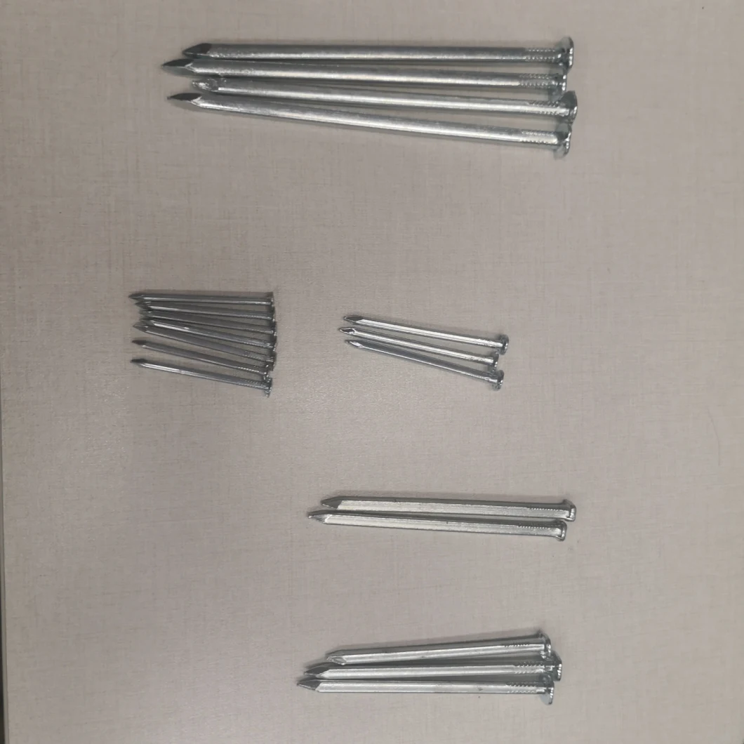 Cheap Factory Outlet Galvanized Boat Nail Square Nail From China of Boat