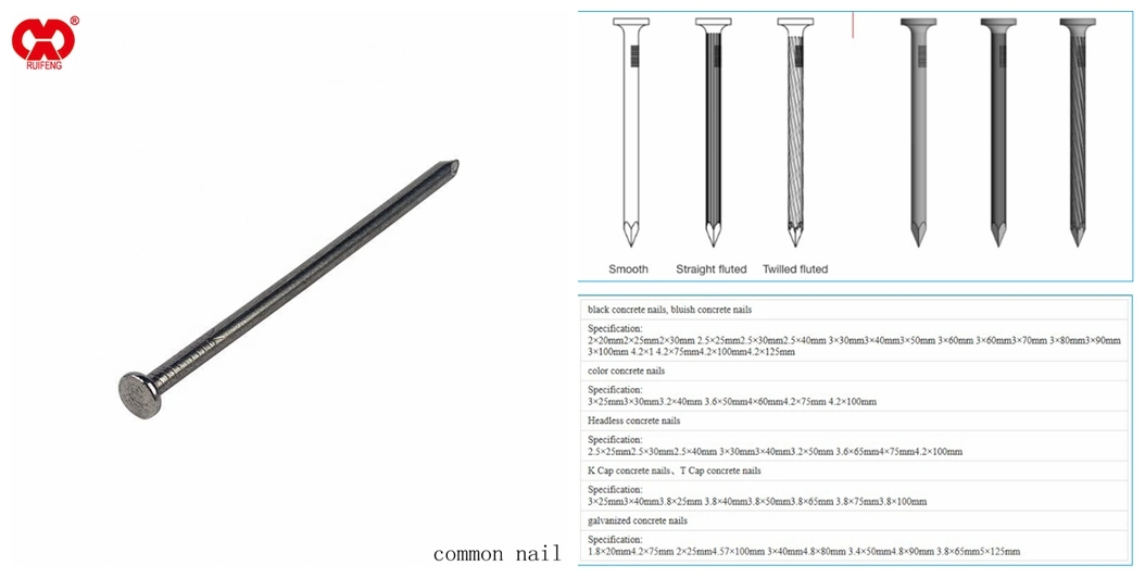 Ruifeng Brand Factory Supplier Competitive Price Steel Galvanized Common Bulk Nails Skid Proof Head.