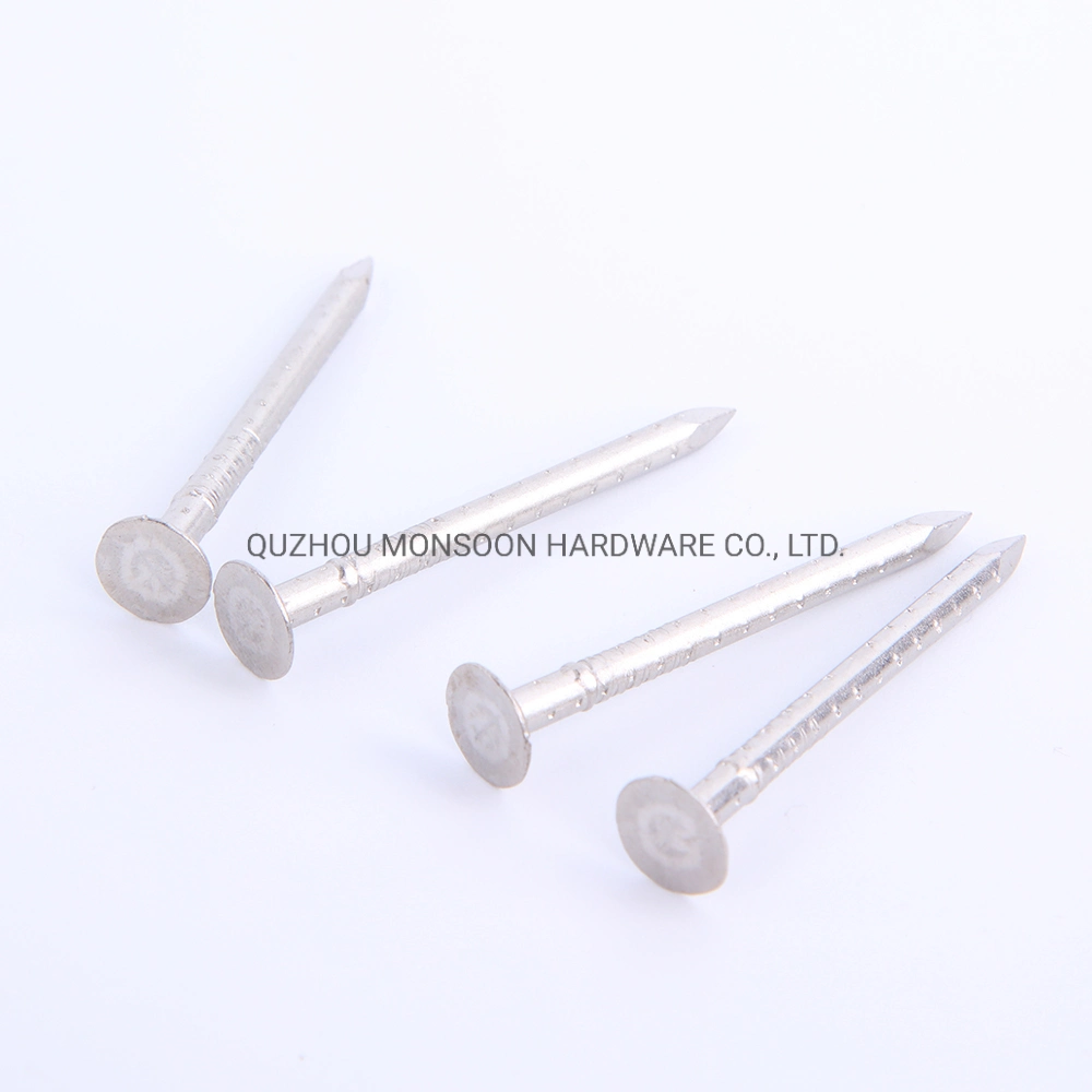 China GB ISO Roofing Nail Framing Concrete Wire Carton Staple Fastener Nails