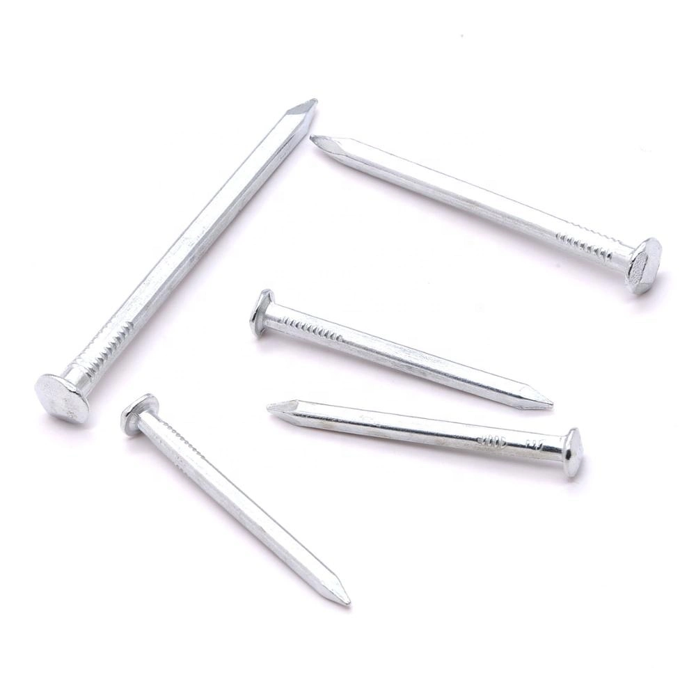 Thailand Laos Vietnam Philippines Singapore Market/Galvanized Boat Nails with Square Shank