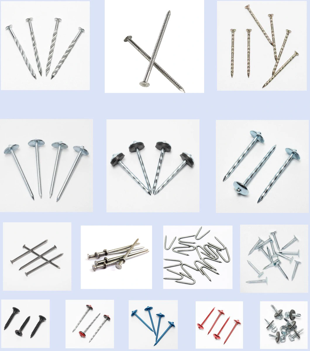 High Quality Double Head Nails for Building and Construction