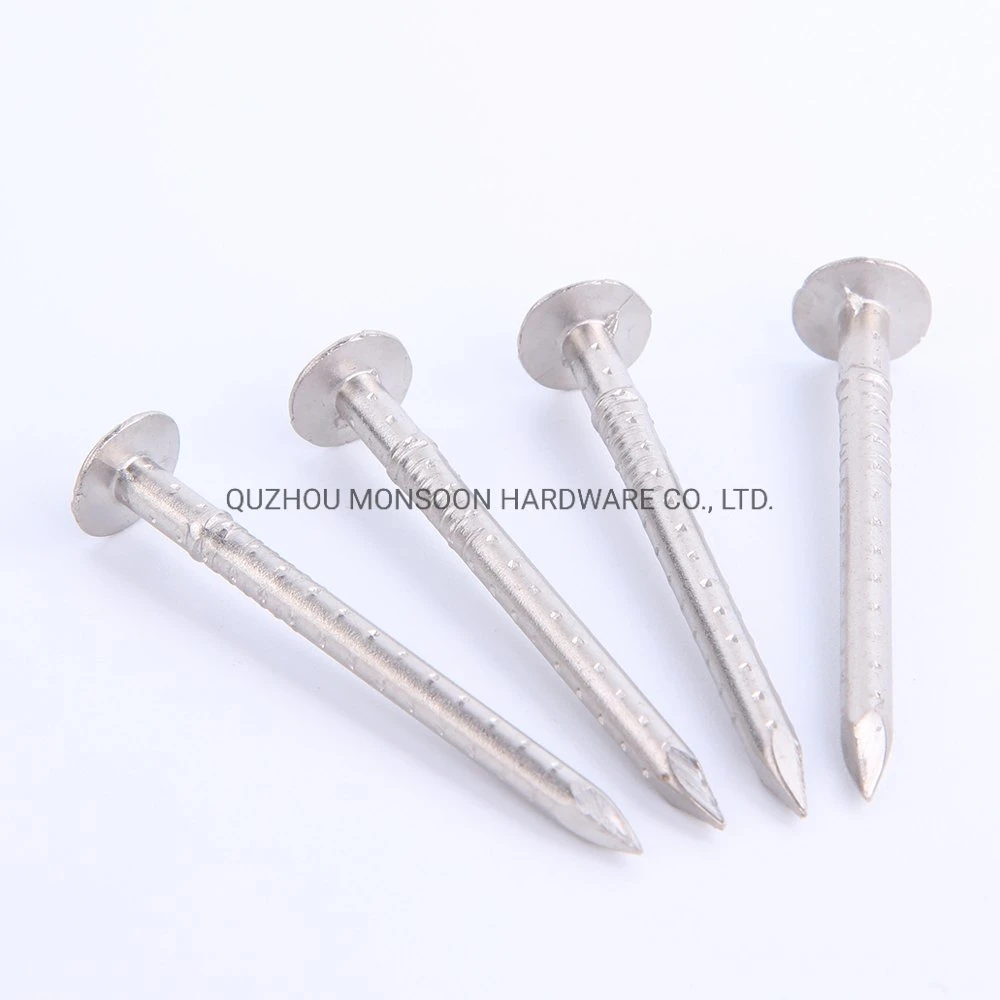 China GB ISO Roofing Nail Framing Concrete Wire Carton Staple Fastener Nails