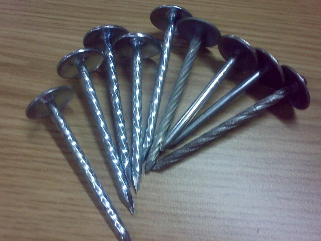 Galvanized Umbrella Head /Twisted Shank/Q195 Q235 Roofing Nail