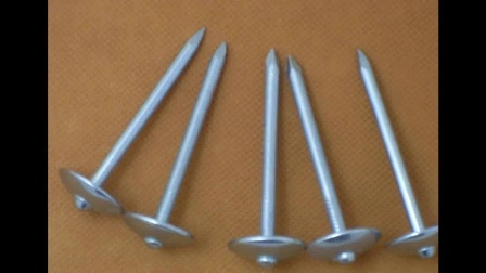 Clavos para techos con cabeza de paraguas galvanizado de buena calidad